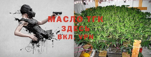 молекула духа Михайловск
