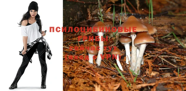 первитин Михайлов