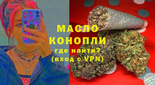 молекула духа Михайловск
