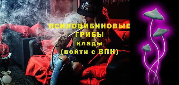 первитин Михайлов