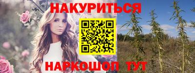 дмт Будённовск