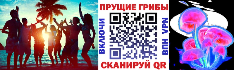 Галлюциногенные грибы Cubensis  Иваново 